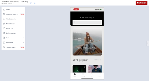 Screenshot showing a running session with device booted and app launched on device