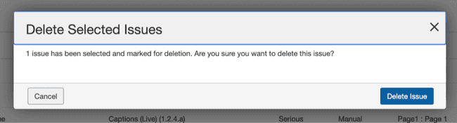 Confirmation Before Deleting an Issue