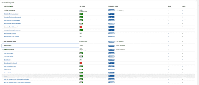 Example screen shot of the Review Checkpoints section showing results, status, issues and
flags