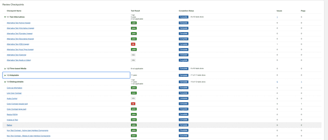 Example screen shot of the Review Checkpoints section showing results, status, issues and
flags