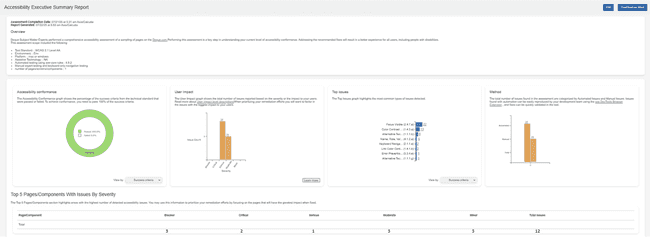 Executive Summary Report 