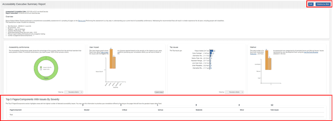 Accessibility Executive Summary Report