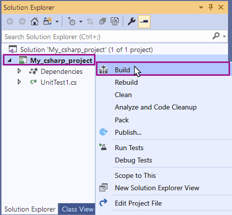 The VS Solution Explorer with the project selected and context opened to access the build command