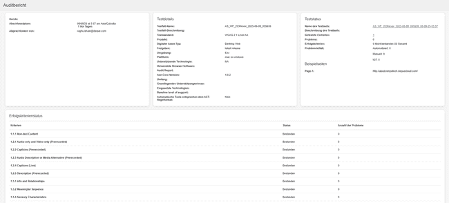 Auditrapport
